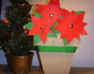 1911812_824327920951023_4116771394875392187_n